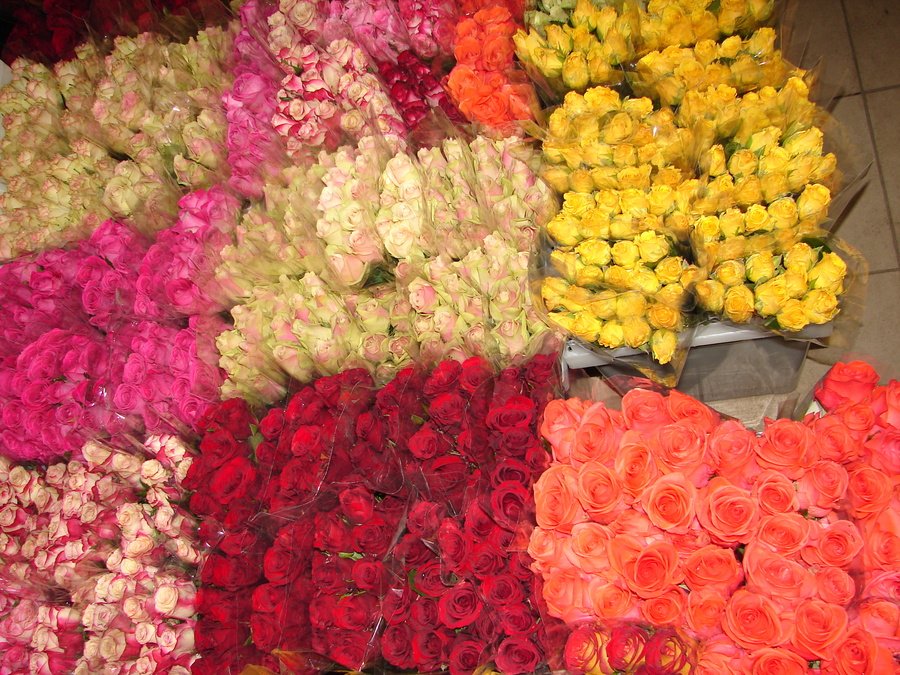 Розы оптом от производителя. Цветочная база Подольск. Оптовая база цветов в Подольске.
